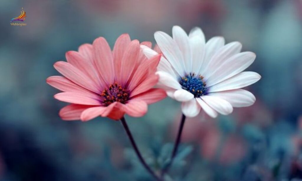 Flower quotes about friendship