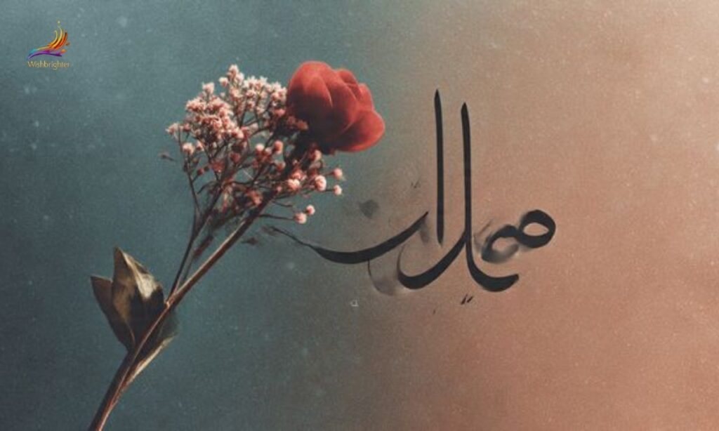 Sabr (صبر) Quotes for Love