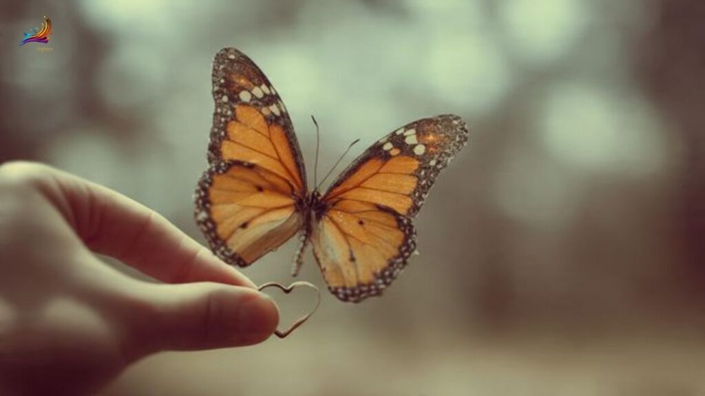 Aesthetic butterfly quotes