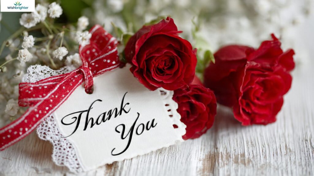 Thank You Messages for Milestone Anniversary Wishes 