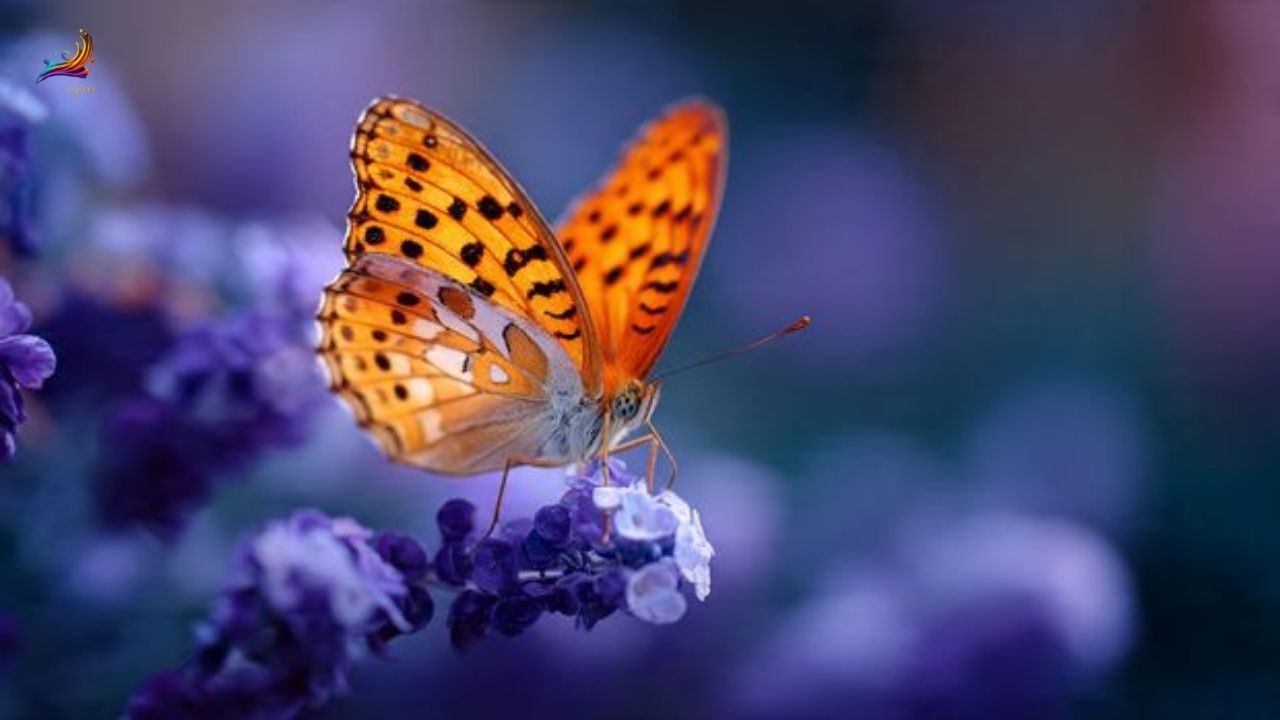 225+ Short Butterfly Quotes to Inspire and Uplift Your Soul