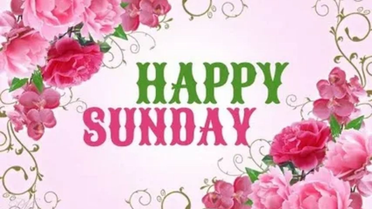 200+ Happy Sunday Messages for Love That Make Hearts Smile Instantly 